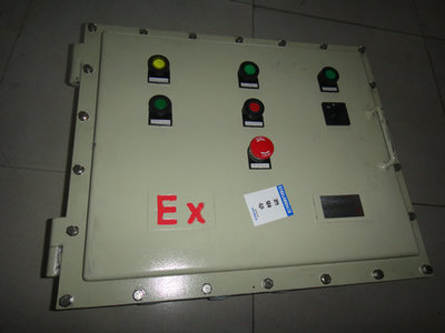 BSG系列戶外型防爆配電柜與控制柜 專(zhuān)業(yè)制造商詳解與電氣應(yīng)用指南